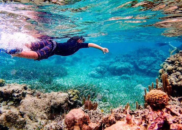 Aldeas De Taray Club