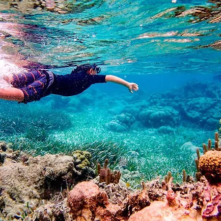 Aldeas De Taray Club